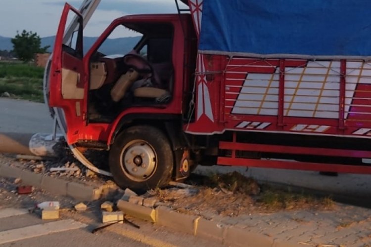 Aydın'da direklere &ccedil;arpan kamyonetteki 2 kardeş yaralandı