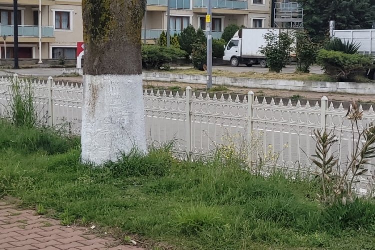 Tartıştığı kişiyi pompalı t&uuml;fekle yaraladı