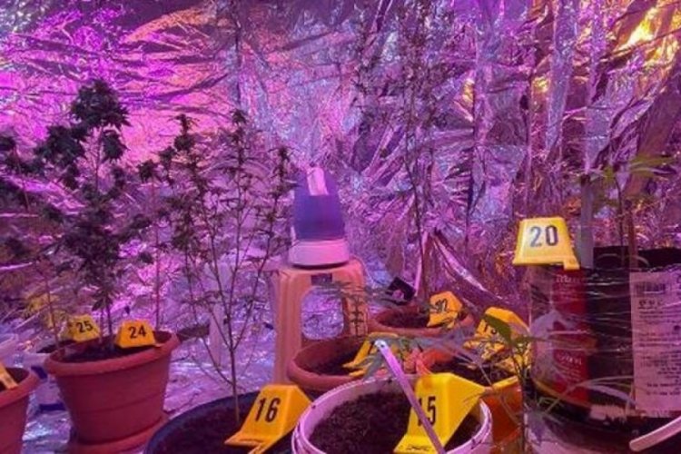 Uyuşturucu serasına &ccedil;evrilen eve operasyon yapıldı