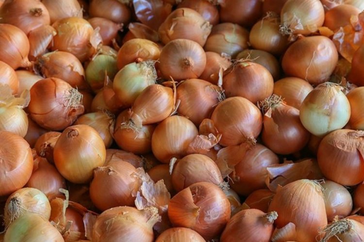Nisan ayında fiyatı en &ccedil;ok artan, kuru soğan oldu