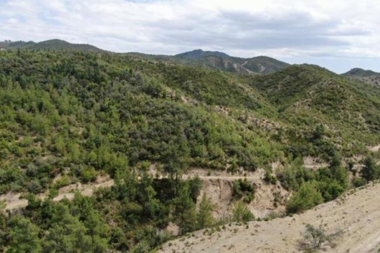 Antalya'da k&uuml;le d&ouml;nen ormanlar yeniden yeşile b&uuml;r&uuml;nd&uuml;