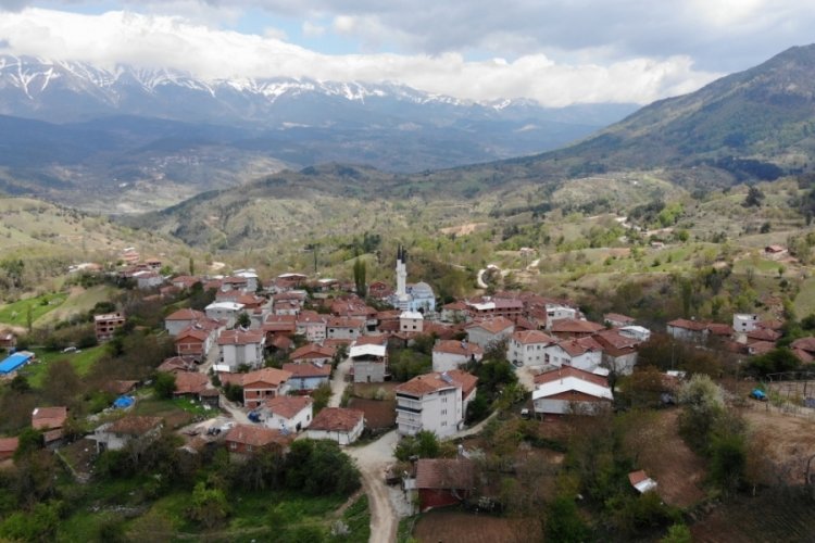 Bursa'da masraflara dayanamadı, muhtarın kapısını &ccedil;aldı