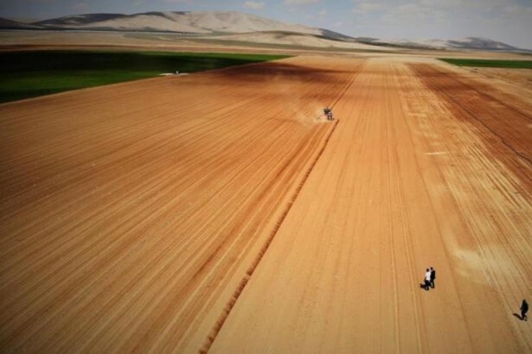 Konya Ovasında ay&ccedil;i&ccedil;eği ve pancarda y&uuml;ksek rekolte bekleniyor