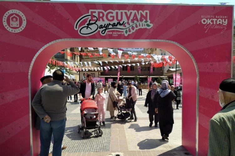 Bursa Yıldırım'da 600 yıllık gelenek, Erguvan yeşeriyor