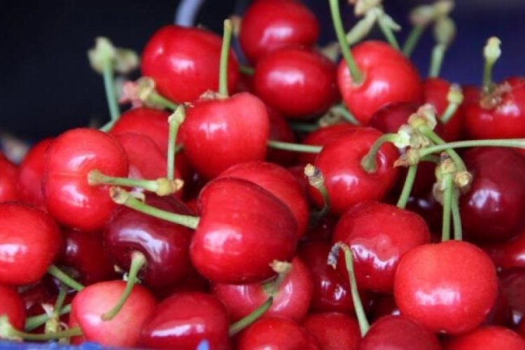Kirazın fiyatı d&uuml;ş&uuml;şe ge&ccedil;ti