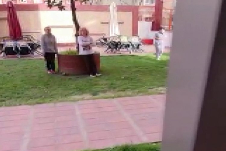 İstanbul'da kediyi boş arsaya bıraktıkları s&ouml;ylenen &ccedil;ift kendini savundu
