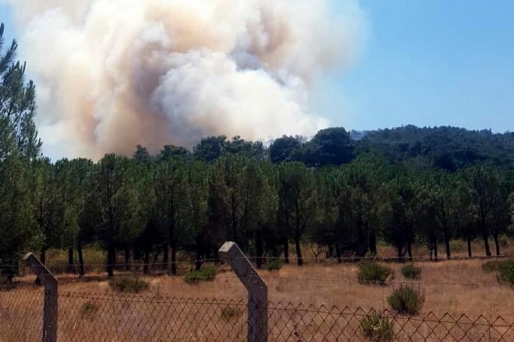 Vali K&ouml;şger, giriş yasağı bulunan ormanları a&ccedil;ıkladı