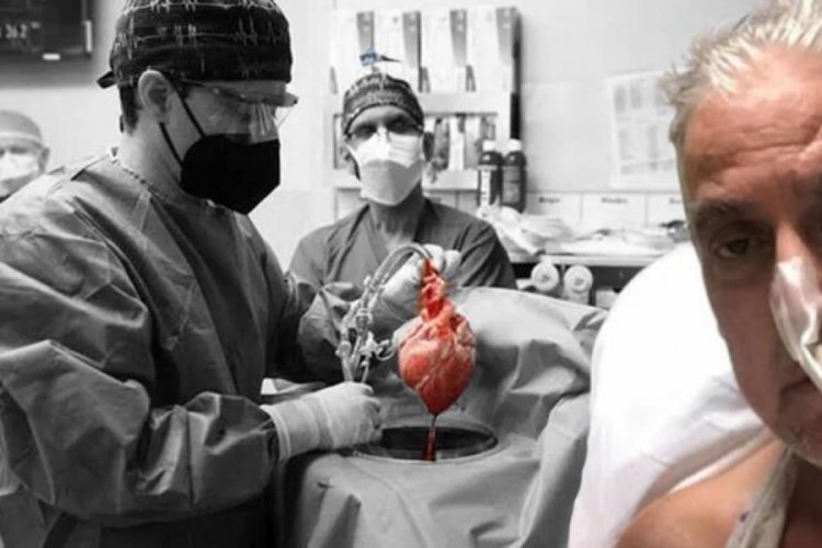 İnsana nakledilen domuz kalbinde vir&uuml;s &ccedil;ıktı