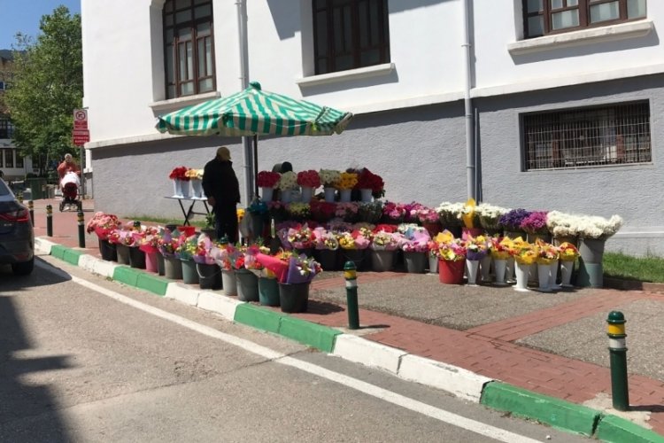 Bursa'da &ccedil;i&ccedil;ek kaldırımlar (&Ouml;ZEL HABER)