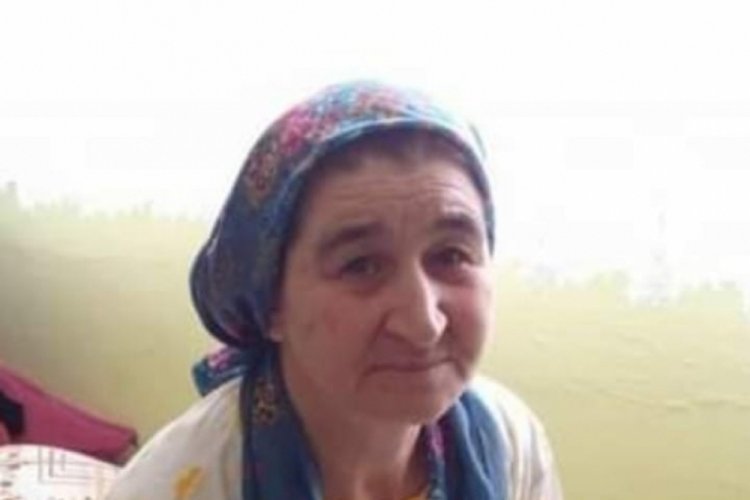 Kaybolan kadın i&ccedil;in arama &ccedil;alışmaları başlatıldı