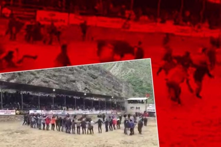 Boğa, horon oynayanları kovaladı