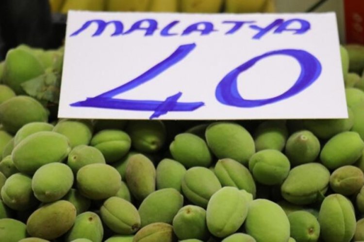 Malatya kayısısı &ccedil;ağlaları tezgahlarda