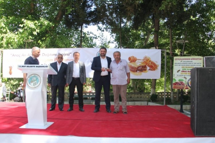 Bal &uuml;reticilerine 'Kafkas ırkı' arı