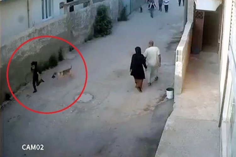 Adana'da k&ouml;pekten ka&ccedil;maya &ccedil;alışırken yaralandı