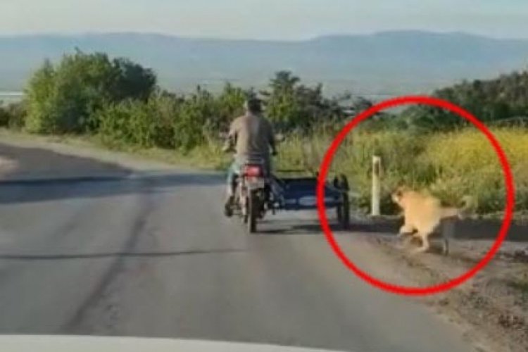 Manisa'da k&ouml;peğini motosikletin arkasına bağlayıp koşturdu