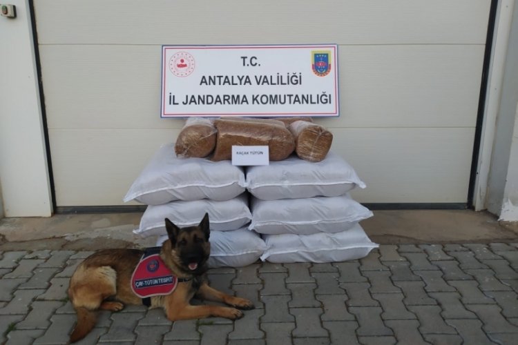 Yolcu otob&uuml;s&uuml;nden &ccedil;ıktı, tam 210 kilogram