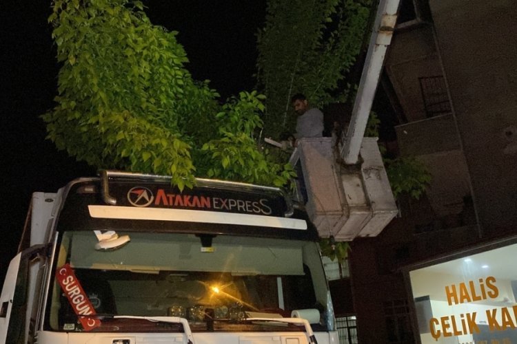 Yol kenarına park etmeye &ccedil;alışan tırın &uuml;zerine ağa&ccedil; devrildi