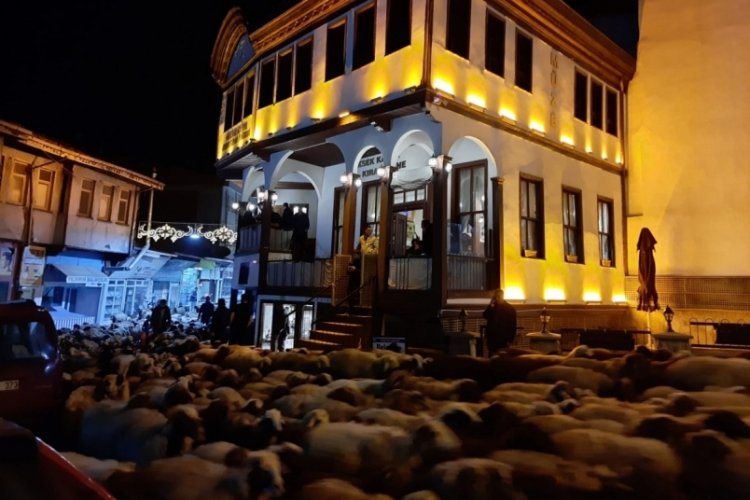 Şehir merkezinden ge&ccedil;en koyun s&uuml;r&uuml;s&uuml; g&ouml;renleri hayrete d&uuml;ş&uuml;rd&uuml;