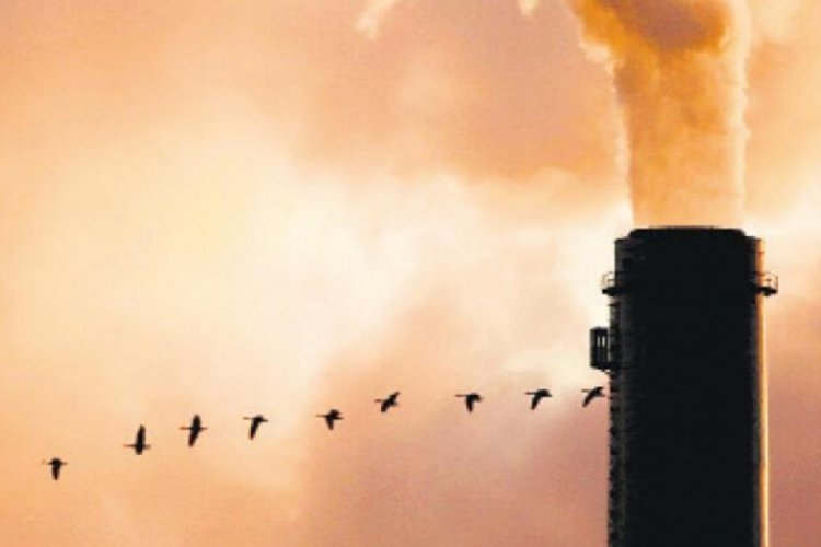 Greenpeace uyardı: Durum &ccedil;ok acil