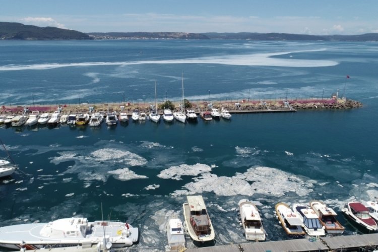 Ses frekansıyla m&uuml;silaj m&uuml;cadelesi