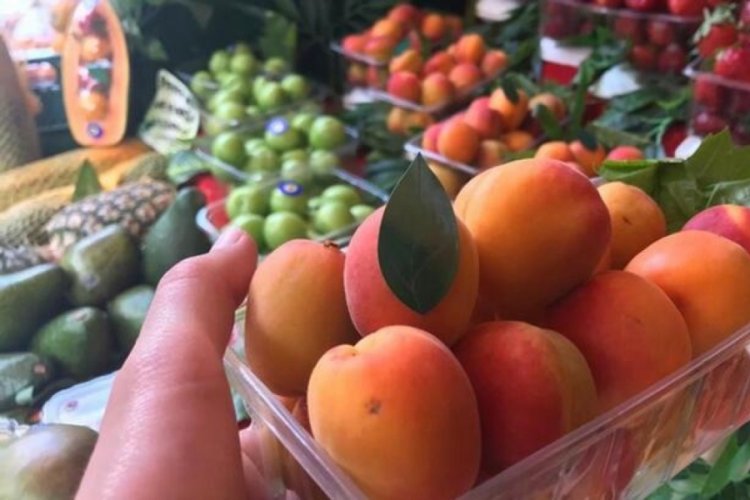 Eskişehir'de kayısının kilosu 50 TL'den tezg&acirc;hta