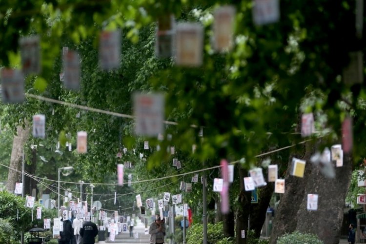 Kocaeli'de Cumhuriyet Bulvarı'nda ağa&ccedil;lar kitaplarla s&uuml;slenecek