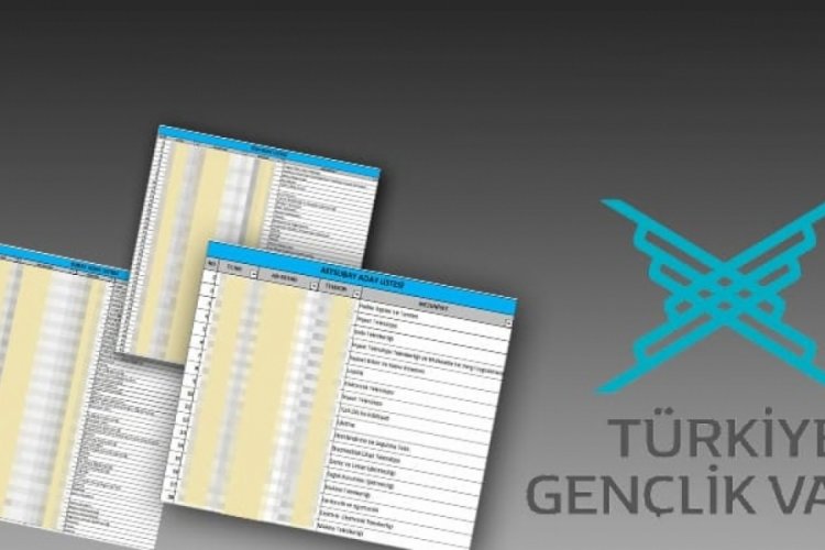 T&Uuml;GVA belgelerini değiştirerek sızdıran sanık tahliye edildi