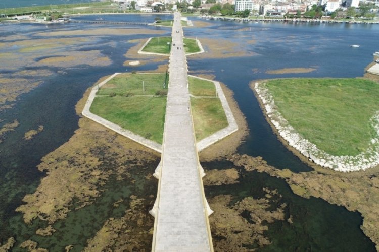 İstanbul B&uuml;y&uuml;k&ccedil;ekmece G&ouml;l&uuml;'nde yosun artışı
