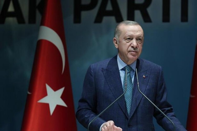 Cumhurbaşkanı,  sokak hayvanlarıyla ilgili talimatını yineledi!
