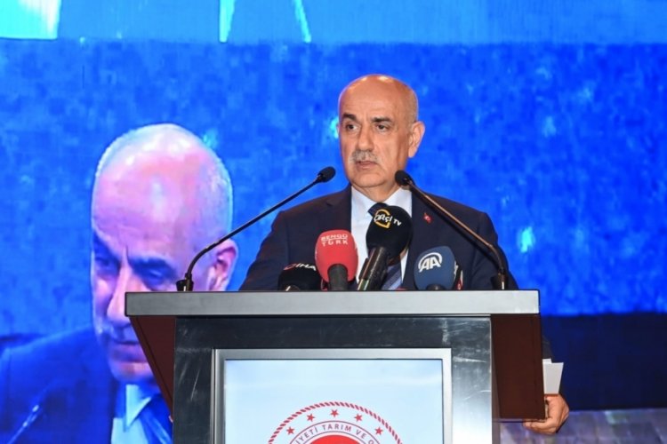Vahit Kirişci: Sokak hayvanları, g&uuml;ndemde tutulması gereken bir konu