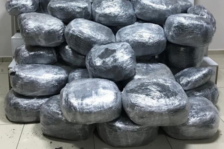 Narkotik ekipleri 200 kilo esrar ele ge&ccedil;irdi