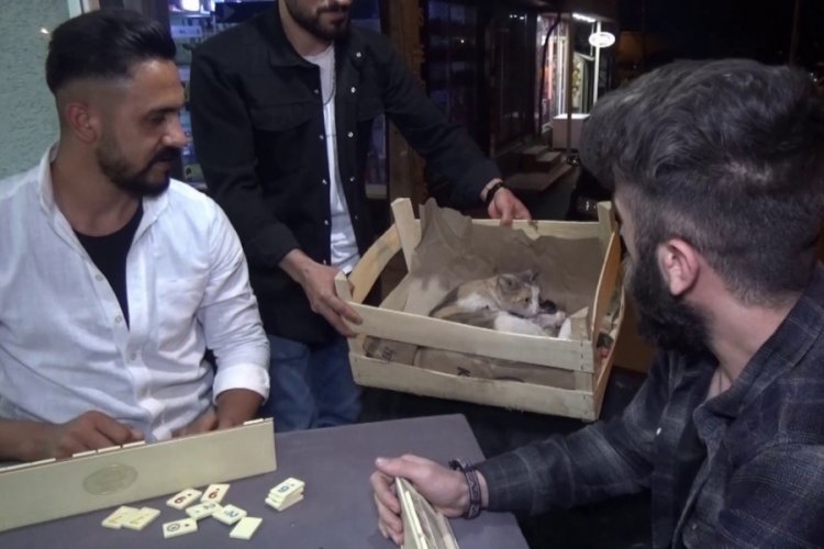 Bursa'da okey masasında doğum