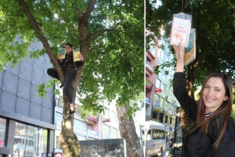 Kocaeli'de ağa&ccedil;tan 5 bin kitap toplandı