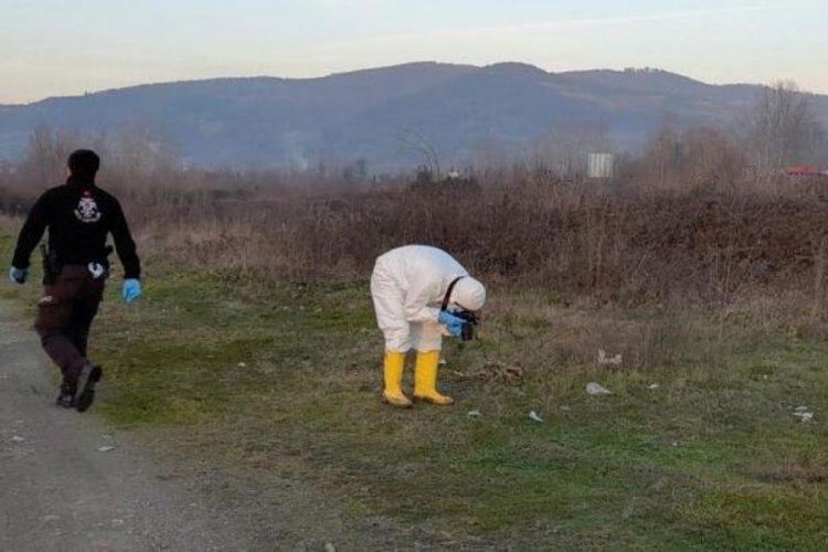 Zonguldak'ta g&ouml;r&uuml;nt&uuml;ler ger&ccedil;eği ortaya &ccedil;ıkardı