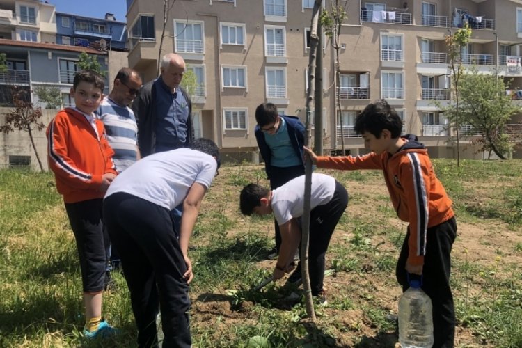 Bursa'da okullara enerji i&ccedil;in 'ağa&ccedil; borcu' kesiliyor