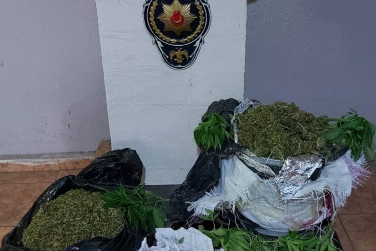 Diyarbakır'da evlerinde hint keneviri yetiştiren baba ve oğlu tutuklandı