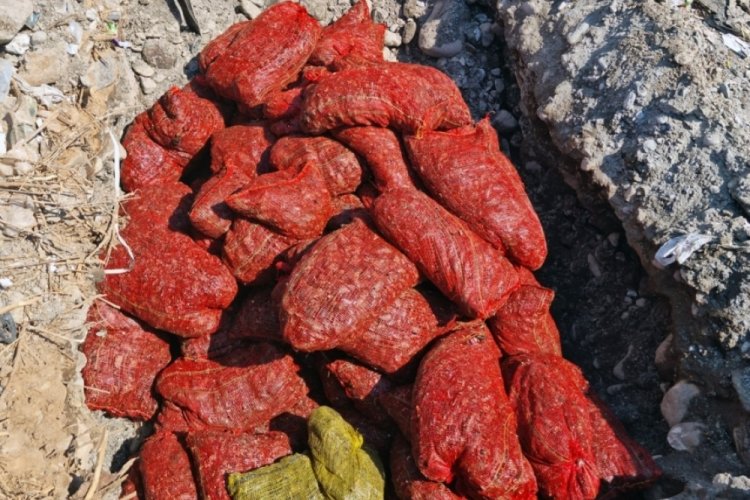 1,5 ton ka&ccedil;ak midye ele ge&ccedil;irildi