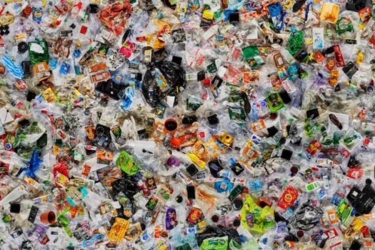 İngiltere'de '&ccedil;&ouml;p' harekatı başladı! Bir hafta boyunca sayacaklar