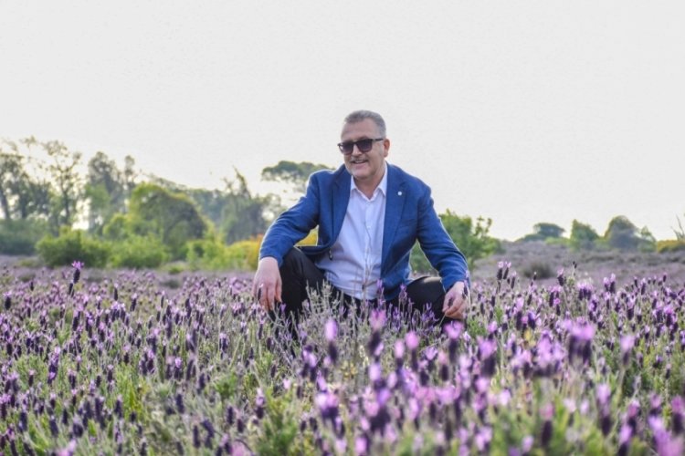 Bursa'da Karacabey'in doğa harikası longoz ormanları ziyaret&ccedil;ilerini bekliyor
