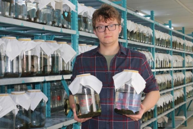 Edirne'de tıbbi s&uuml;l&uuml;k talebine yetişemiyorlar