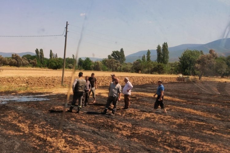 Muğla Milas'ta arazi yangını
