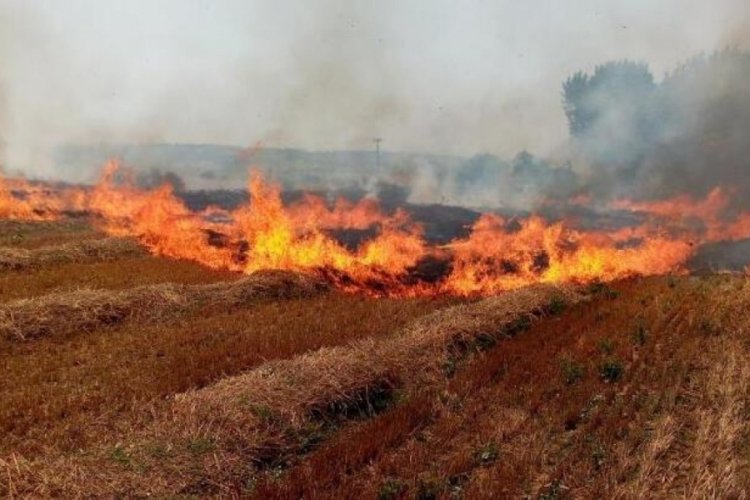Tekirdağ Valiliği'nden yangın uyarısı! Anız yakanlara 155 bin lira ceza