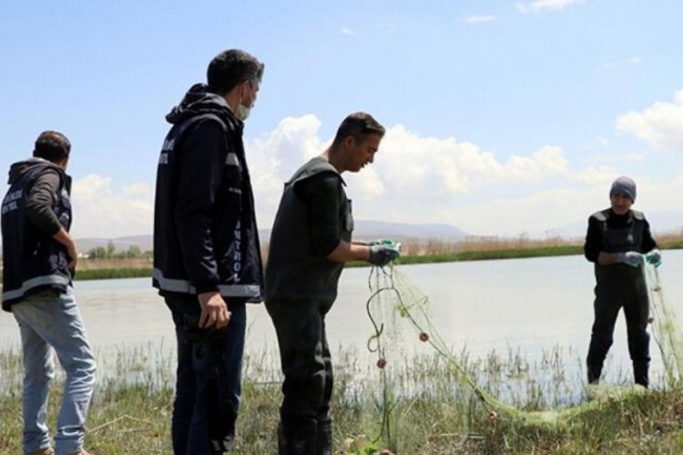 Van G&ouml;l&uuml;'nde bin metrelik misina ele ge&ccedil;irildi