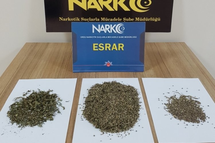 Ordu'da 20 uyuşturucu operasyonunda 7 tutuklama