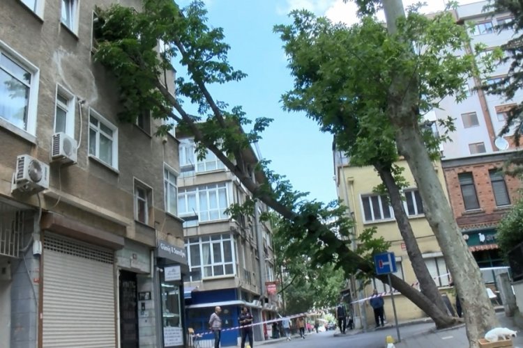 İstanbul'da fırtına ağa&ccedil; devirdi