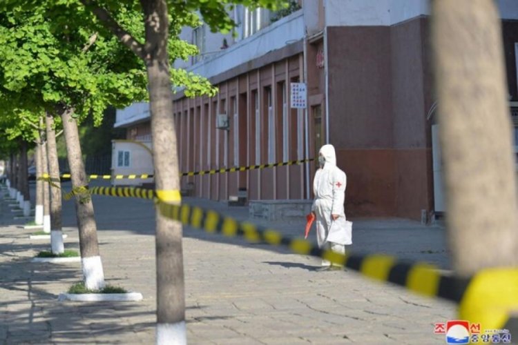 Kuzey Kore'nin koronavir&uuml;se karşı &ccedil;ay ve tuzla savaşı
