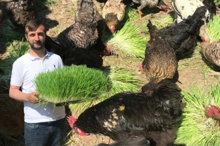 Artan yem maliyetlerine karşı &ccedil;&ouml;z&uuml;m&uuml; kendisi buldu