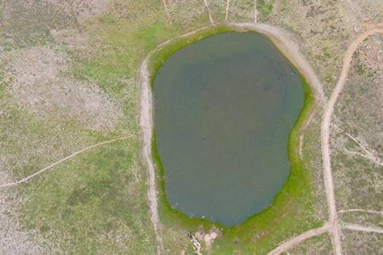 Elazığ'da kuruyan Bervi G&ouml;l&uuml; yağışlarla yeniden canlandı