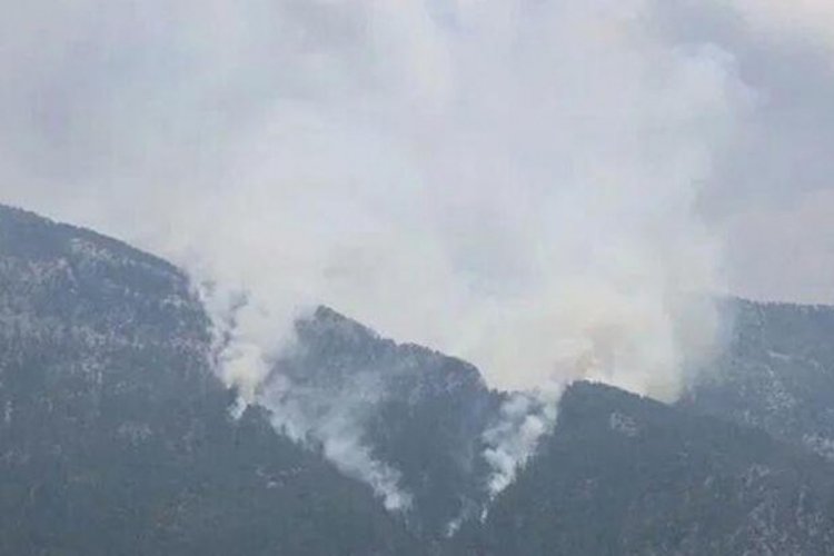 Antalya Alanya'daki orman yangını kontrol altında