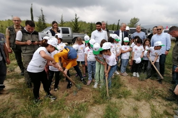 D&uuml;nya Arı G&uuml;n&uuml; t&ouml;renle kutlandı